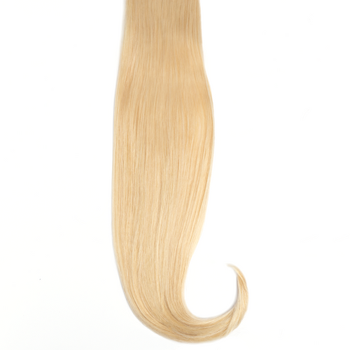 Color 25 Premium Hand Tied Weft 22"